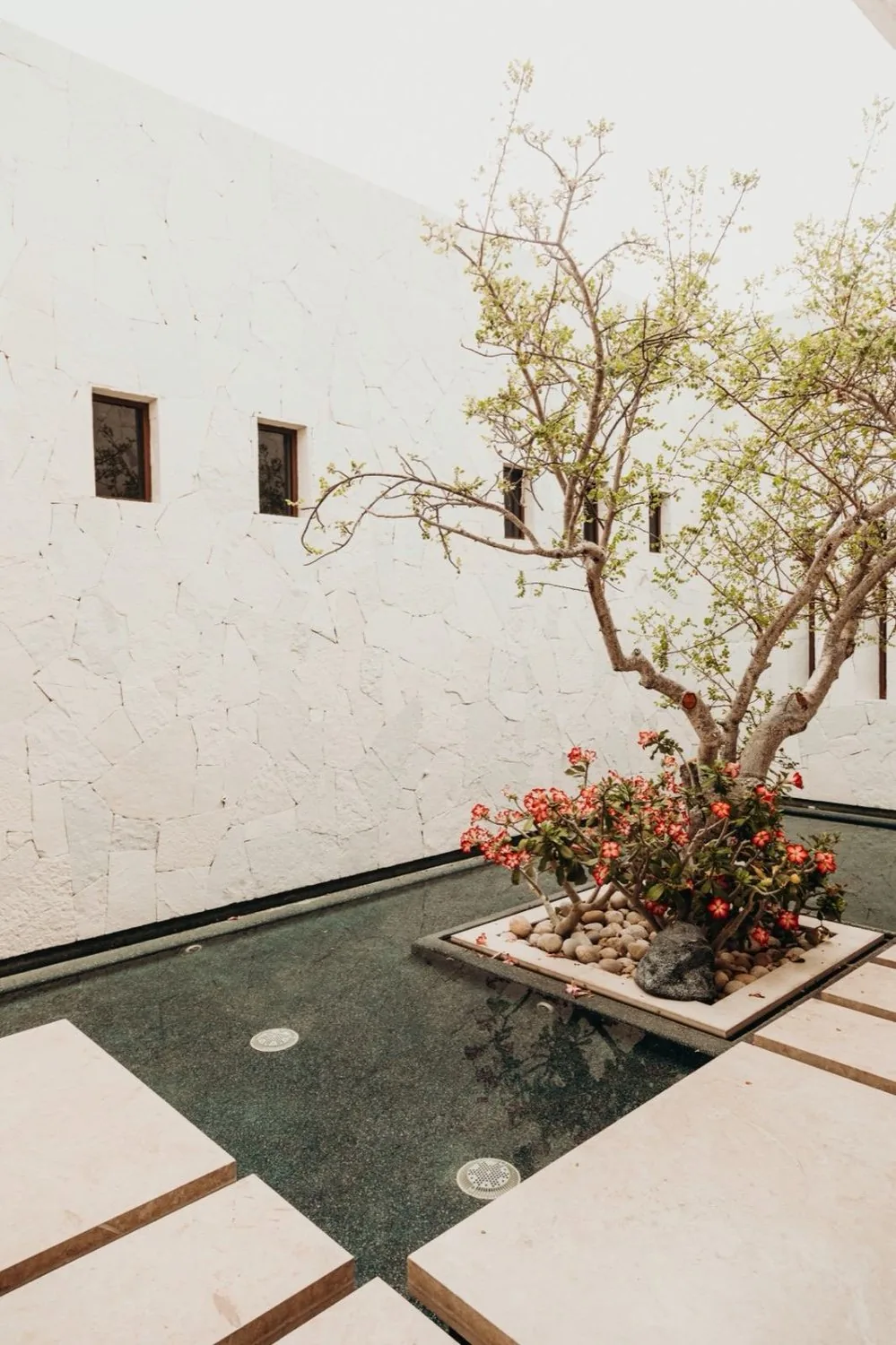 MANOMApalmilla2024 22 — Manoma Spa Palmilla